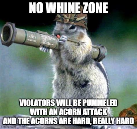 Bazooka Squirrel Memes Imgflip