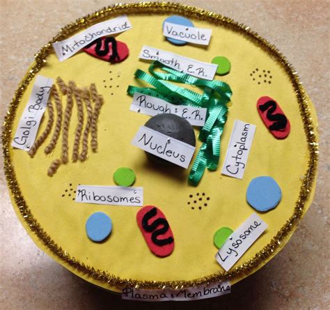 This 3d animal cell made from styrofoam is fantastic! Animal Cell Model | Animal cell, Cell model, Cell model ...