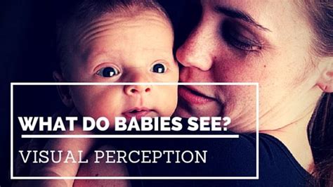 视觉感知与婴儿婴儿看什么——owlcation 188jdc金宝搏