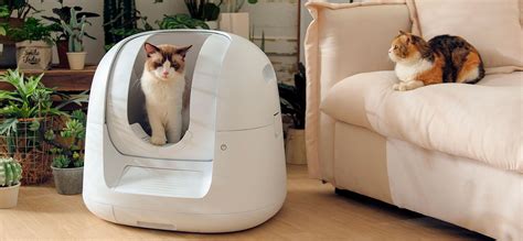 10 Best Automatic Cat Litter Boxes In 2023 😻 Covered Self Cleaning And