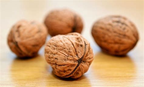 A Handful Of Walnuts Secret To Better Sperm Researchers Claim