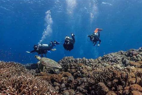The Magic Of Drift Diving Siren Diving Lembongan