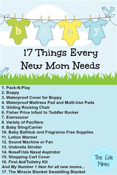 17 Things Every New Mom Needs The Cole Mines