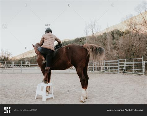 Back View Of Female In Helmet Mounting On Obedient Horse In Enclosure