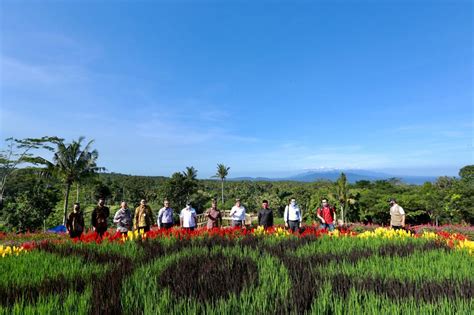 Agrowisata Tamansuruh Awt Banyuwangi Siap Terapkan New Normal