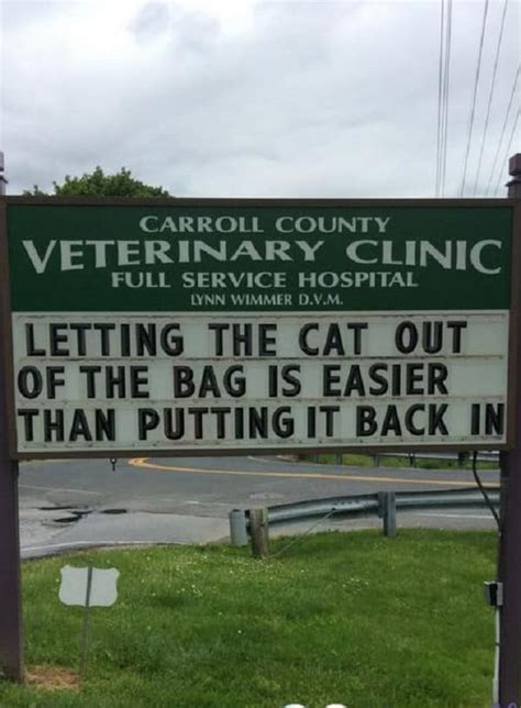 Hilarious Vet Signs That Every Cat Lover Will Understand Worldation
