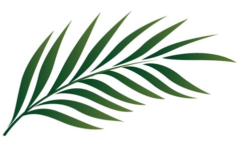 Palm Tree Leaf Clipart