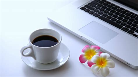 Coffee Flowers Laptop Desktop Pc Computer Relax Net