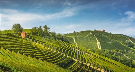 Langhe Vineyards Panorama Serralunga Alba Piedmont Italy Europe