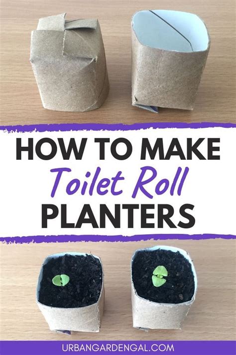 How To Make Toilet Roll Planters Paper Plant Pots Seedling Pots