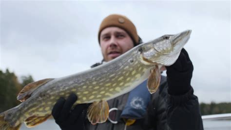 Hauen Kalastusta Marraskuussa Paraisilla Northern Pike Fishing In