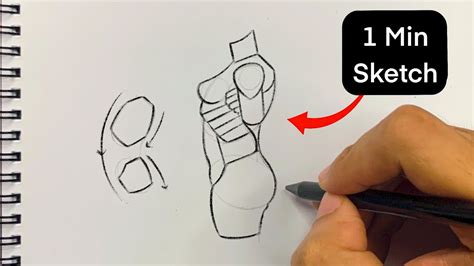 How To Draw Female Torso In 1 Minute Side View Youtube