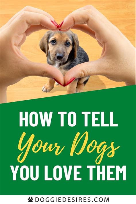 How To Tell Your Dog You Love Them In Their Own Language In 2021 Your
