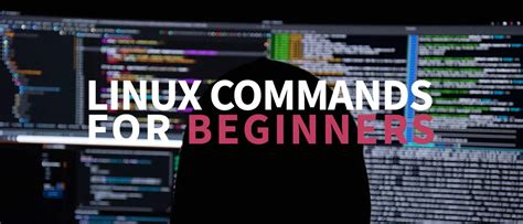 20 Basic Linux Commands For Beginners Explanations