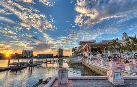 Best Things To Do In Tampa Florida And Where To Stay Love And Road