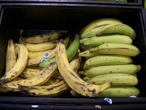 Fruit That Looks Like A Banana But Isn T Banana Poster