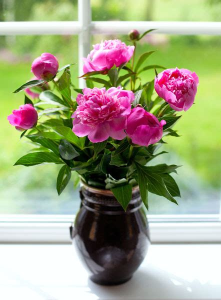 What flowers last the longest in a vase. How to Keep Flowers Fresh Longer