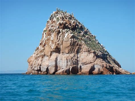 Espiritu Santo Island Tour Adventures In Baja