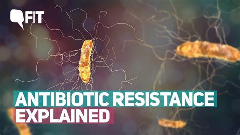 The Antibiotic Resistance Crisis Is Worsening