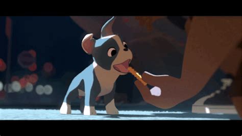 Dog Boston Terrier Movie  On Er By Bular
