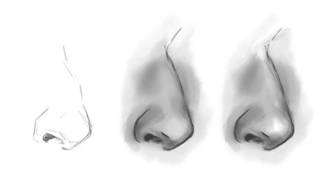 Draw Nose Easy How To Draw Nose Easy How To Draw Nose For Beginners