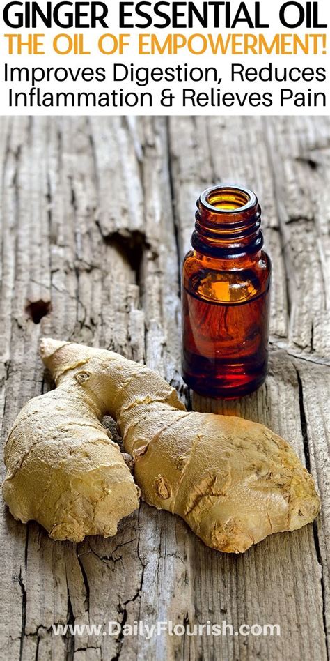 Homemade Ginger Essential Oil Uses And Benefits Of This Powerful Natural