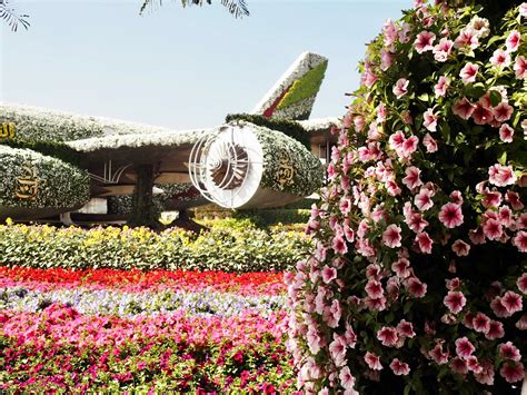 Dubai Miracle Gardens And Butterfly Gardens Dainty Dress Diaries