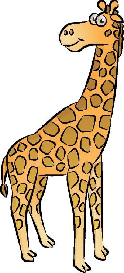How To Draw A Giraffe In 5 Steps Giraffe Drawing Easy Giraffe