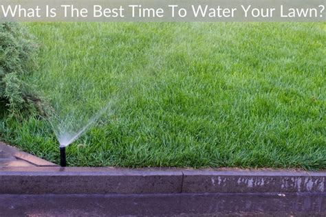 What Is The Best Time To Water Your Lawn Just Yardz