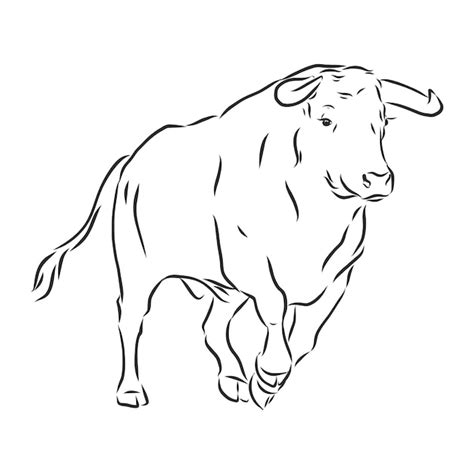 Premium Vector Sketch Bull Vector Hand Drawn Illustration Side View