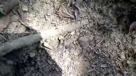 El obstculo en el camino hace mucho tiempo, un rey coloc una gran roca obstaculizando un camino. LOS OBSTÁCULOS EN EL CAMINO DE LA HORMIGA - YouTube