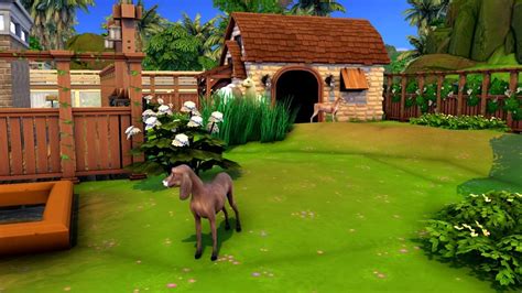 Building A Functional Zoo In The Sims 4