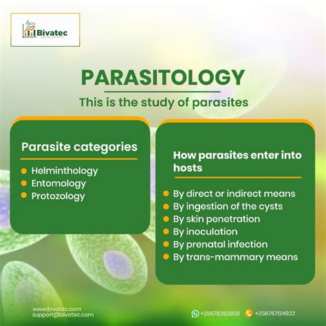 Understanding The Common Parasites In Livestock