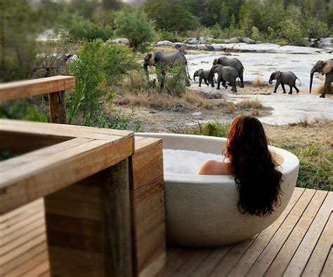 Top 5 Ultra Luxurious Safari Lodges In South Africa A Luxury Travel Blog