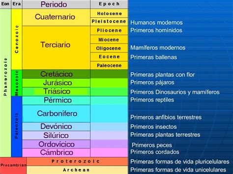 Escala Del Tiempo Geologico