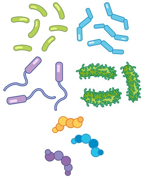 A Set Of Bacteria 693693 Vector Art At Vecteezy