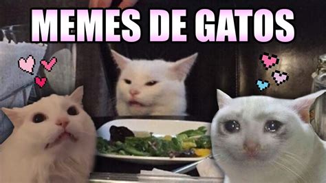 Las Mejores 128 Michi Gato Meme Armadynemx