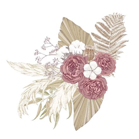 Boho Composition Of Dried Rose Flowers And Pampas Grass Hand Drawn