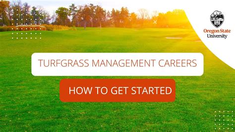 Turfgrass Management How To Get Started Youtube