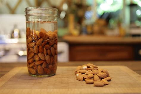 Almond Milkand Beyond Mountain Feed And Farm Supply