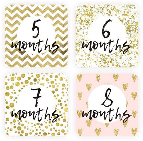 Pdf Baby Girl Milestone Cards Printable 1 12 Month Cards Pdf Etsy In