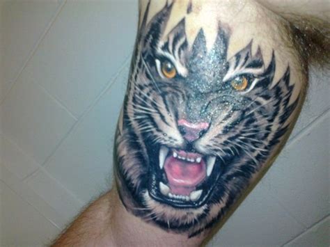 59 Tiger Face Tattoos Designs And Ideas