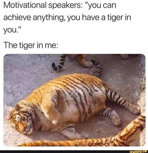 Motivational Speakers You Can Achieve Anything You Have A Tiger In