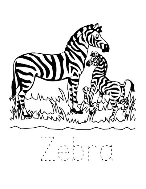 Zebra In The Zoo Coloring Page Download And Print Online Coloring Pages