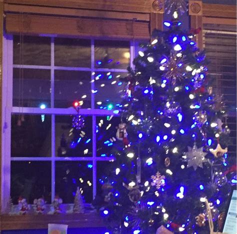 Pin By Jen Hartnett On Christmas Treesinside Blue Christmas