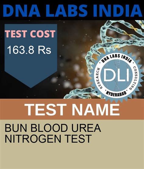 What Is Bun Blood Urea Nitrogen Test