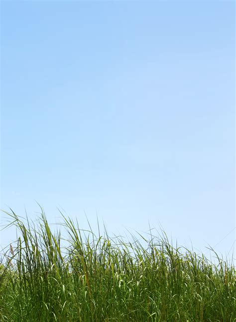 Free Images Landscape Nature Horizon Plant Field Lawn Meadow