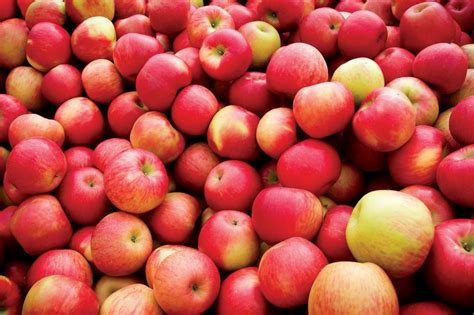 Fresh Red Fuji Apple At Best Price In Delhi By Fresh Fruits Empire Id