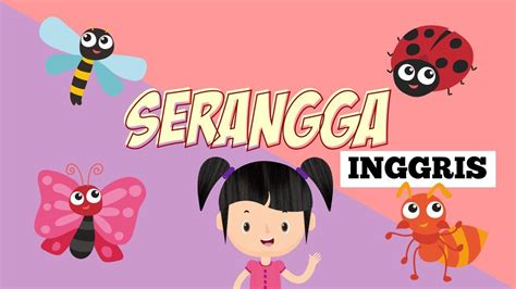 Belajar Mengenal Nama Nama Serangga Dalam Bahasa Inggris Bagian 1