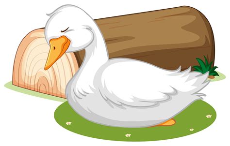 Cute Duck Sleeping On Grass 1500758 Vector Art At Vecteezy